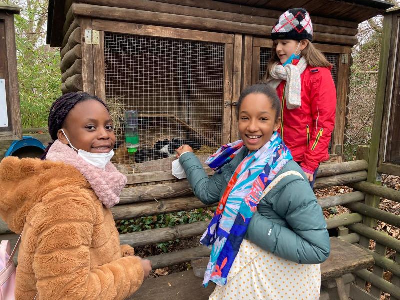 Ein Besuch im Tierpark macht Kindern immer Spaß! Kinder stehen vor einem Hasengehege