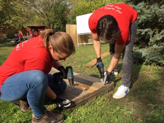 Frauen beim zusammenschrauben von Brettern