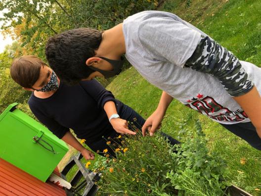 Kräutergarten für Kinder