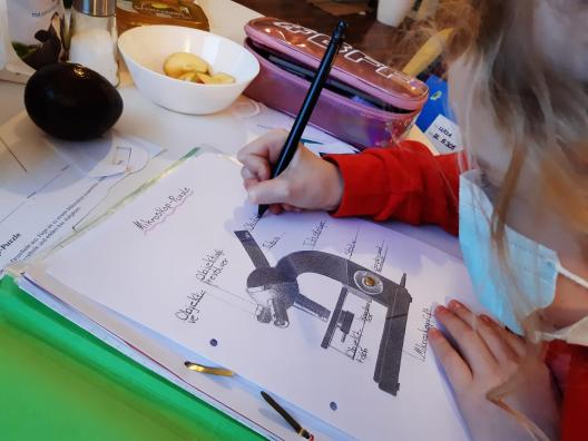 Kind sitzt an Physik-Hausaufgaben