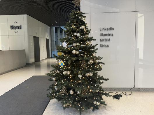 Wunschbaum bei Brookfield Properties