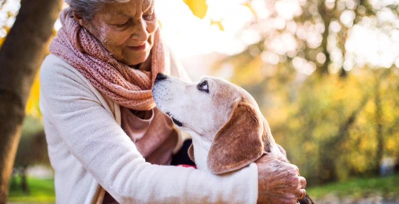 Hundesenioren haben spezielle Bedürfnisse Hundesenioren haben spezielle Bedürfnisse